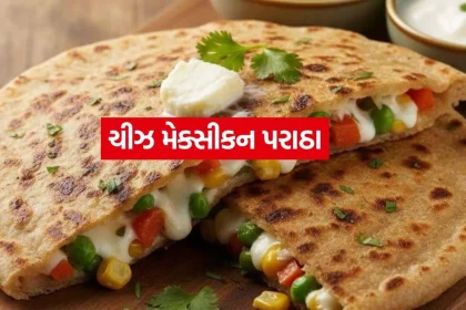 Cheese Mexican Paratha 0408.jpg.webp