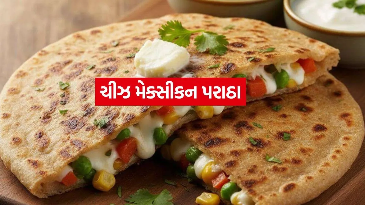 Cheese Mexican Paratha 0408.jpg.webp