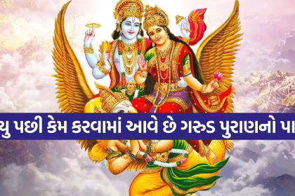 Copy of Satya web temp 10.jpg.avif