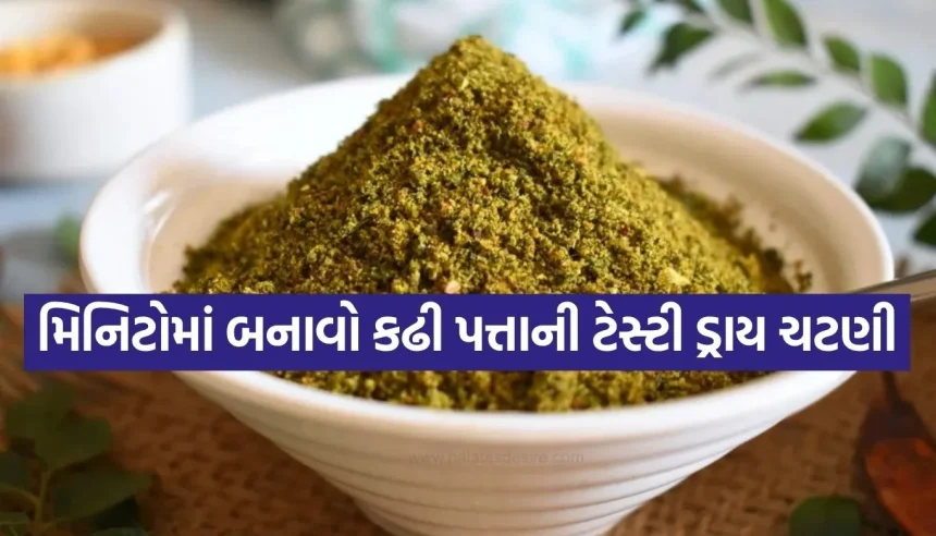 વાળ ખરવાની સમસ્યાથી છૂટકારો મેળવવો છે? ડાયટમાં સામેલ કરો આ ખાસ કઢી પત્તાની ચટ 1 Copy of Satya web temp 29.jpg.webp