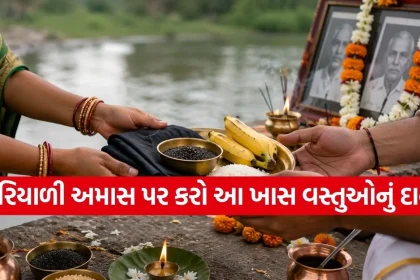 Copy of Satya web temp 43.jpg.webp