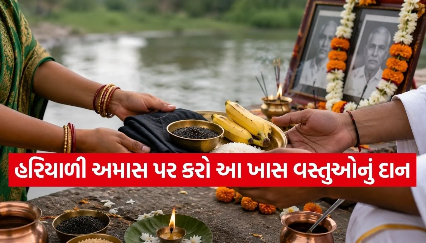 Copy of Satya web temp 43.jpg.webp
