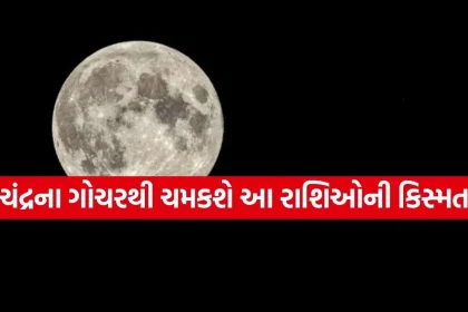 Copy of Satya web temp 5.jpg.webp