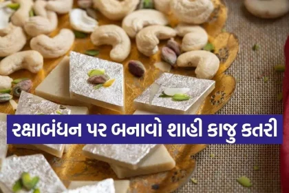 Copy of Satya web temp 70.jpg.webp