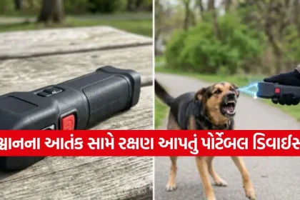 Dog Attack Protection 1808.jpg.webp