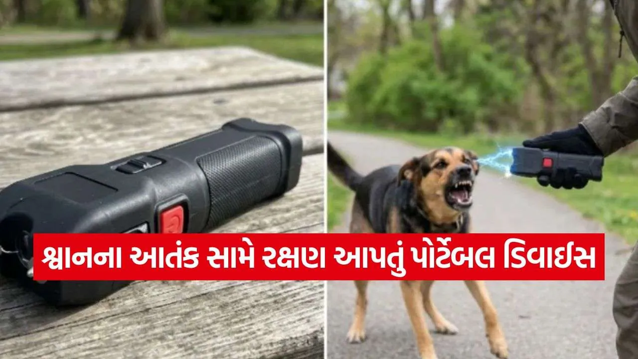 Dog Attack Protection 1808.jpg.webp