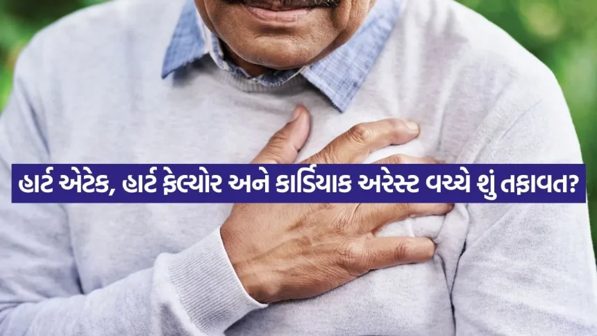 હાર્ટ એટેક, હાર્ટ ફેલ્યોર અને કાર્ડિયાક અરેસ્ટ: એક જ ના સમજો આ 3 સ્થિતિને: નિષ્ણાતો પાસેથી જાણો હૃદયની ગંભીર બીમારીઓના લક્ષણો 1 Heart Attack 0608.jpg.webp
