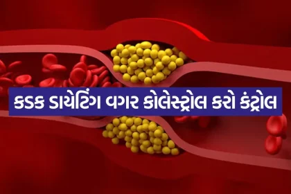 High Cholesterol Control 0208.jpg.webp