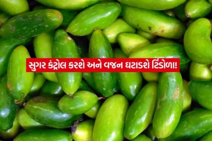 Ivy Gourd1.jpg.webp