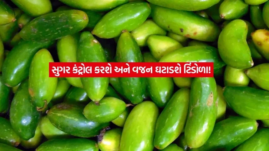 Ivy Gourd1.jpg.webp