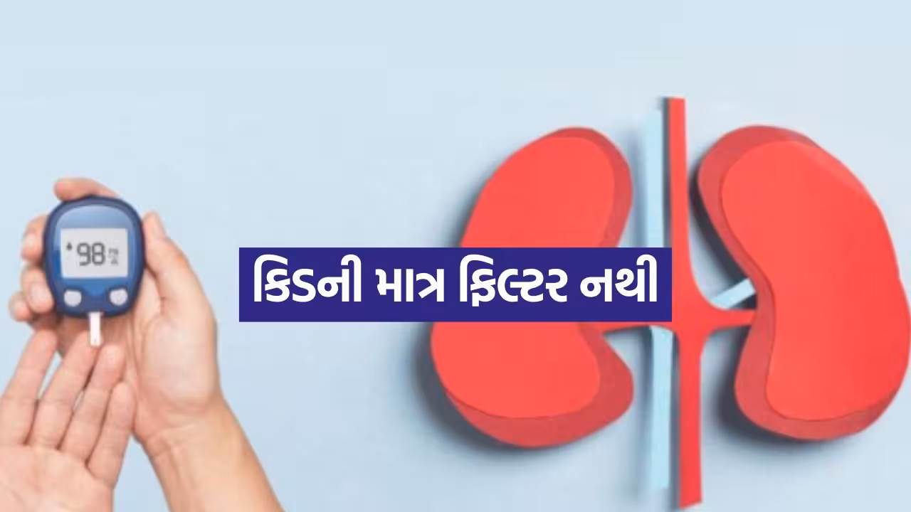 Kidney And Diabetes 1608.jpg.avif