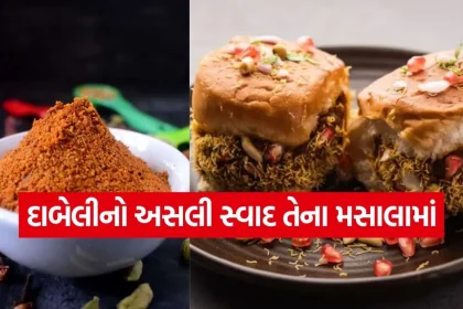 Kutchi Dabeli Masala 0108.jpg.webp