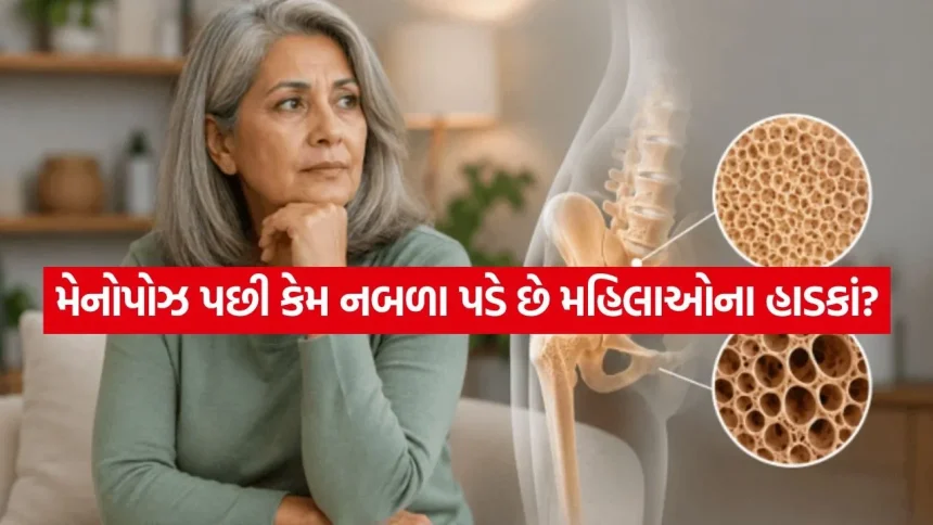 મેનોપોઝ પછી કેમ ઝડપથી નબળા પડે છે મહિલાઓના હાડકાં? જાણો તેનાં કારણો, લક્ષણો અને રક્ષણ માટેના શ્રેષ્ઠ ઉપાયો 1 Post Menopause Bone Health 1408.jpg.webp