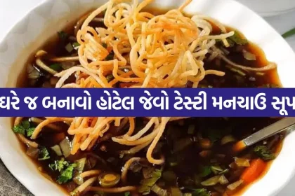 Veg Manchow Soup 0508.jpg.webp