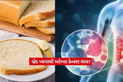 bread2.jpg.webp