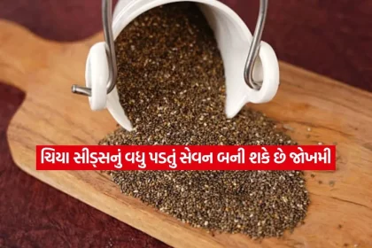 chia seeds.jpg.webp