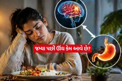 health2.jpg.webp