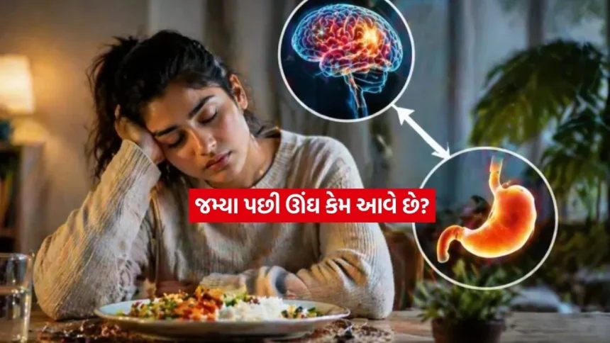 શું તમને પણ જમ્યા પછી ઊંઘ આવી જાય છે? તમારી આ ખોટી આદતો હોઈ શકે છે જવાબદાર 1 health2.jpg.webp