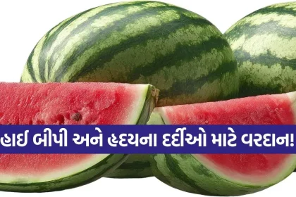 iNDIA 2026 07 31T112956.013.jpg.webp
