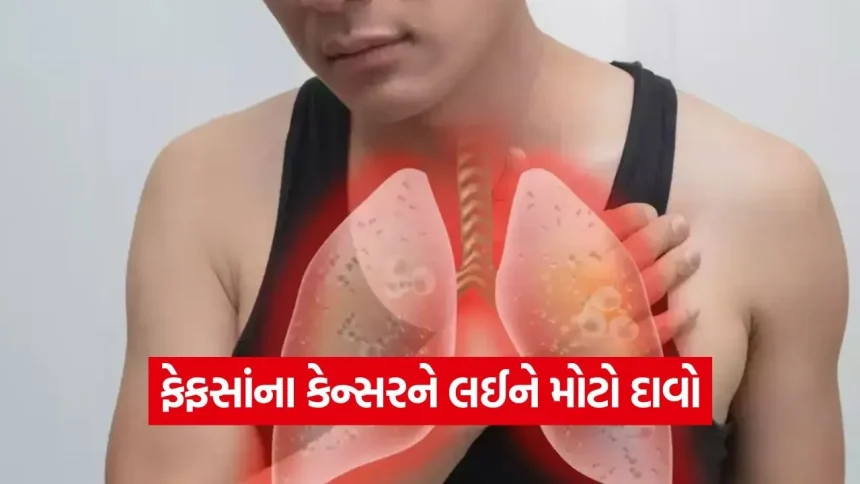 ચોંકાવનારો ખુલાસો! વાયુ પ્રદૂષણ કરતાં પણ વધુ ખતરનાક છે લોહીની આ અદ્રશ્ય સ્થિતિ, જાણી લો લંગ કેન્સરનું નવું કારણ 1 iNDIA 2026 08 01T110825.032.jpg.webp
