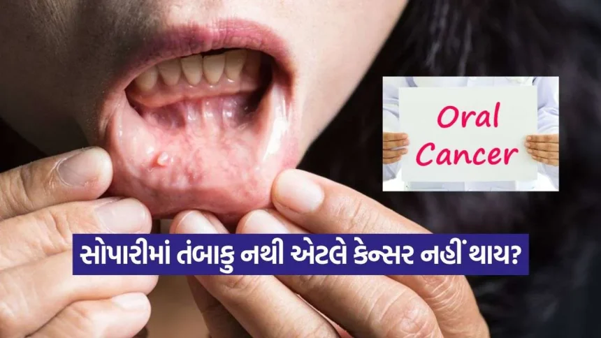 વિમલ એલાયચી વિવાદ: તંબાકુ અને સોપારી પાછળ છુપાયેલું ઓરલ કેન્સરનું મોટું જોખમ 1 iNDIA 2026 08 18T120756.091.jpg.webp