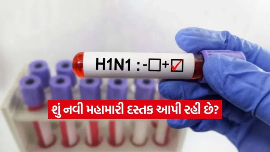 કોરોના પછી હવે H1N2v વાયરસનો ખતરો? બાળક બન્યો શિકાર, જાણો કેટલો ખતરનાક છે આ ફ્લૂ! 1 iNDIA 2026 08 19T114319.416.jpg.webp