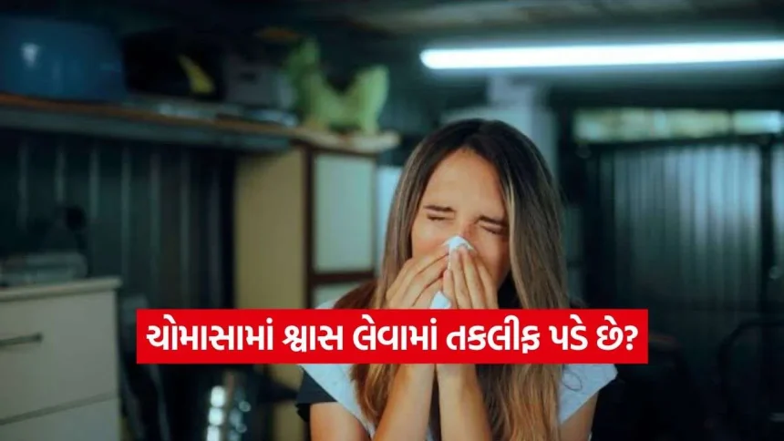 ચોમાસામાં શ્વાસ લેવામાં તકલીફ કેમ વધી જાય છે? જાણો ભેજવાળા વાતાવરણથી ફેફસાંને બચાવવાના અચૂક ઉપાયો 1 iNDIA 2026 08 21T144314.453.jpg.webp