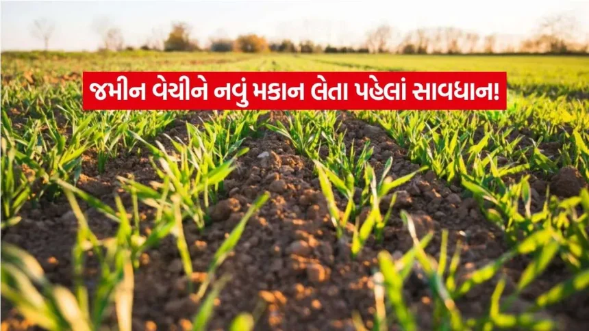 વારસાગત ખેતીની જમીન વેચીને ઘર ખરીદવું છે? જાણો સેક્શન 54F હેઠળ ટેક્સમાં છૂટ મળશે કે નહીં! 1 iNDIA 2026 08 24T112329.000.jpg.webp