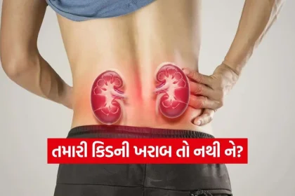 iNDIA 2026 08 25T110302.398.jpg.webp