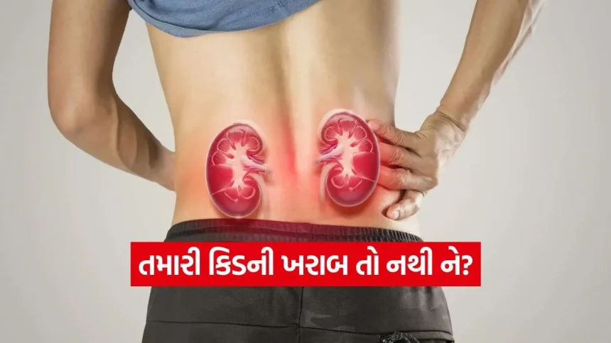 લક્ષણો દેખાય ત્યાં સુધી મોડું ન થઈ જાય! કિડની બચાવવા કરાવો આ 2 સરળ ટેસ્ટ 1 iNDIA 2026 08 25T110302.398.jpg.webp