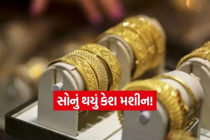 iNDIA 2026 08 26T112520.739.jpg.webp