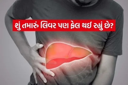 iNDIA 2026 08 28T190449.894.jpg.webp