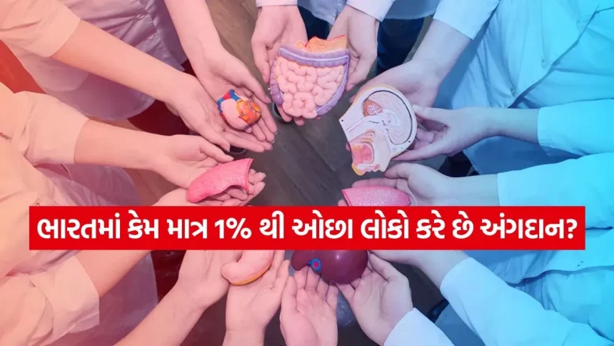 અંગદાન ક્ષેત્રે ભારતે ઈતિહાસ તો રચ્યો, પણ કિડની અને લિવરના દર્દીઓ માટે હજુ કેમ લાંબી છે પ્રતીક્ષા? 1 iNDIA 41.jpg.webp