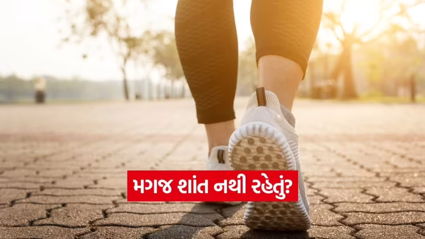 ચિંતા અને ગભરાટથી મુક્તિ! દરરોજ માત્ર ૨૦ મિનિટ ચાલીને મગજને કરો શાંત, જાણો અદભુત સાયન્ટિફિક ફાયદા 1 iNDIA 76.jpg.avif