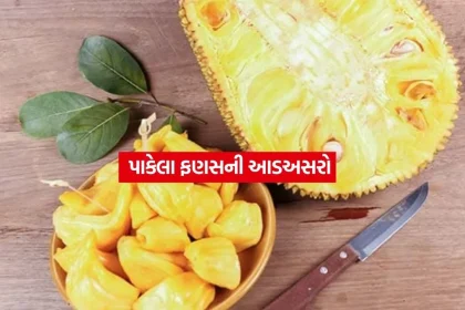 jackfruite2.jpg.webp
