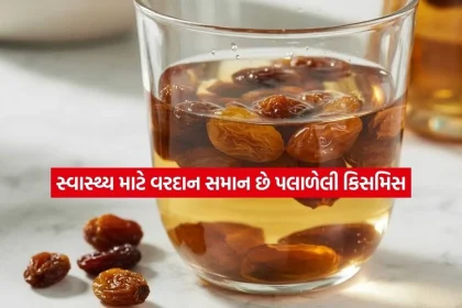kishmish2.jpg.webp