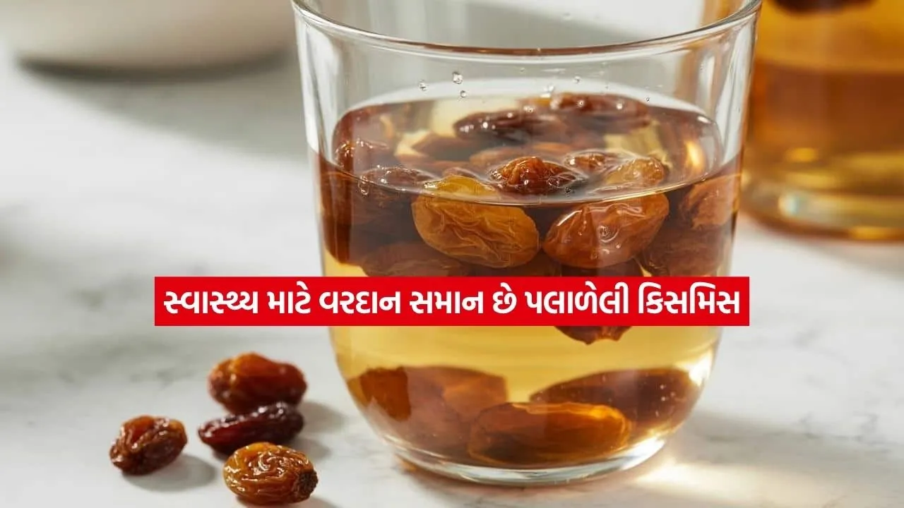 kishmish2.jpg.webp