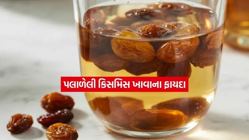 શું તમે જાણો છો? ખાલી પેટે પલાળેલી કિસમિસ ખાવાથી શરીરને મળે છે આ ફાયદા 1 kismiss.jpg.webp