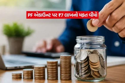 pf1.jpg.webp