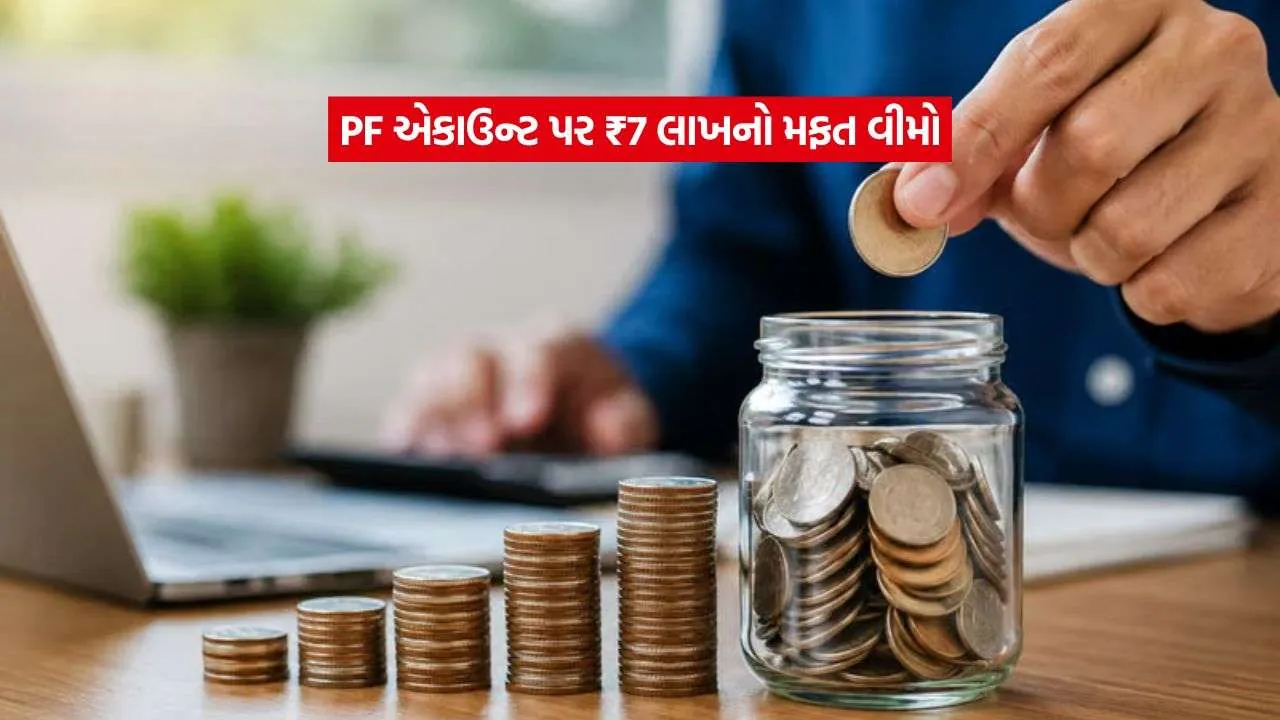 pf1.jpg.webp
