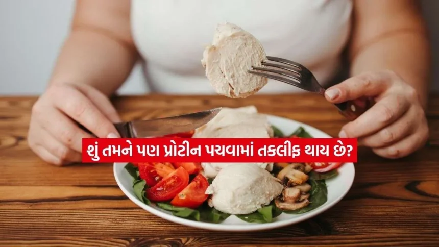 પ્રોટીન ખાધા પછી પેટ અને છાતીમાં બળતરા થાય છે? જાણો તેને પચાવવાની સાચી રીત 1 protin.jpg.webp