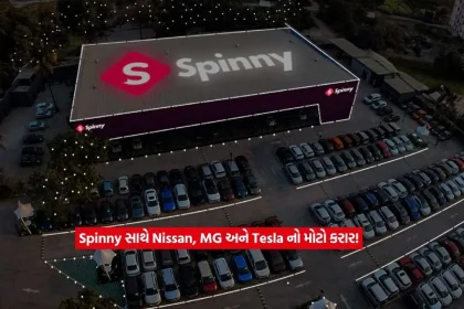 spinny2.jpg.webp