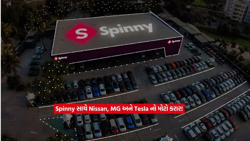 spinny2.jpg.webp