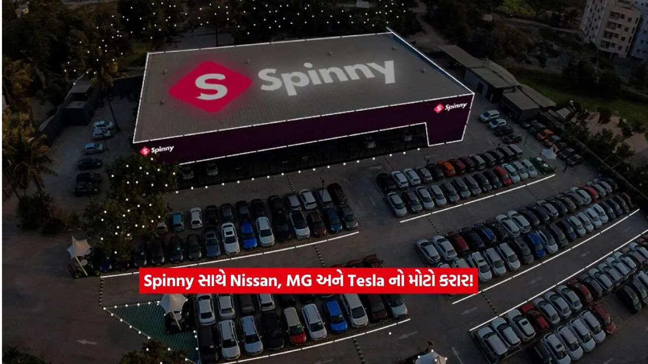 spinny2.jpg.webp