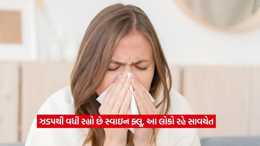 સ્વાઇન ફ્લૂનું જોખમ વધ્યું: કયા લોકોને સૌથી વધુ અસર થાય છે? આટલી બાબતોનું ખાસ રાખો ધ્યાન 1 virus2.jpg.webp