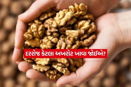 welnuts.jpg.webp