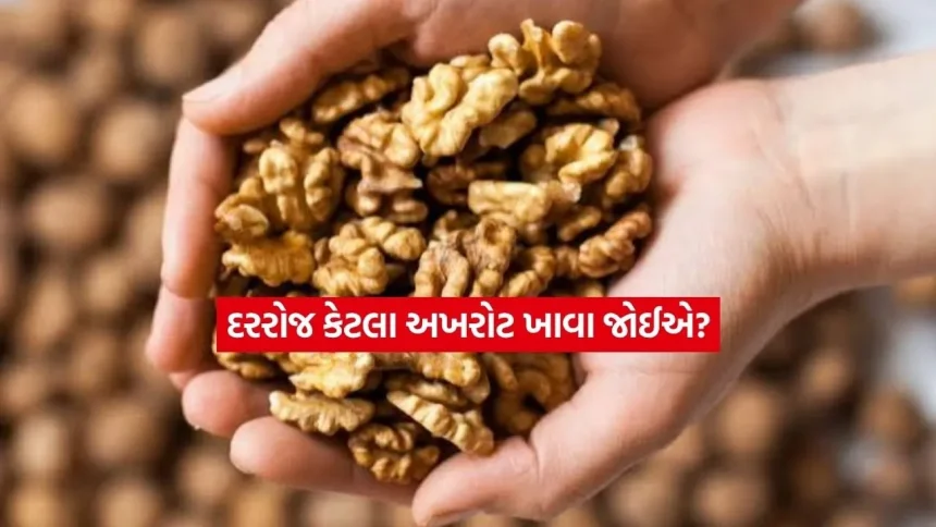 welnuts.jpg.webp