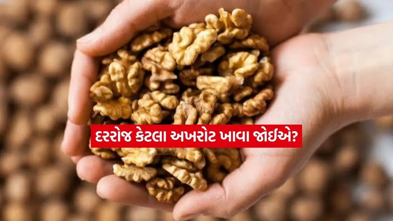 welnuts.jpg.webp