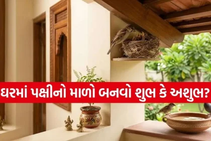 1789225555 Copy of Satya web temp 17.jpg.webp