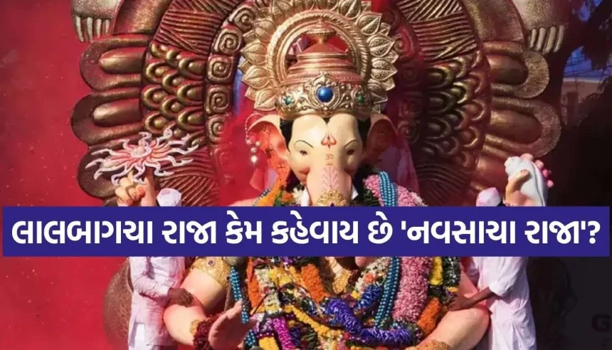 લાલબાગચા રાજાનું નામ ‘નવસાચા રાજા’ પડવા પાછળ છે વર્ષ ૧૯૩૨ની આ અદભુત ઘટના 1 1789514261 Copy of Satya web temp 29.jpg.webp